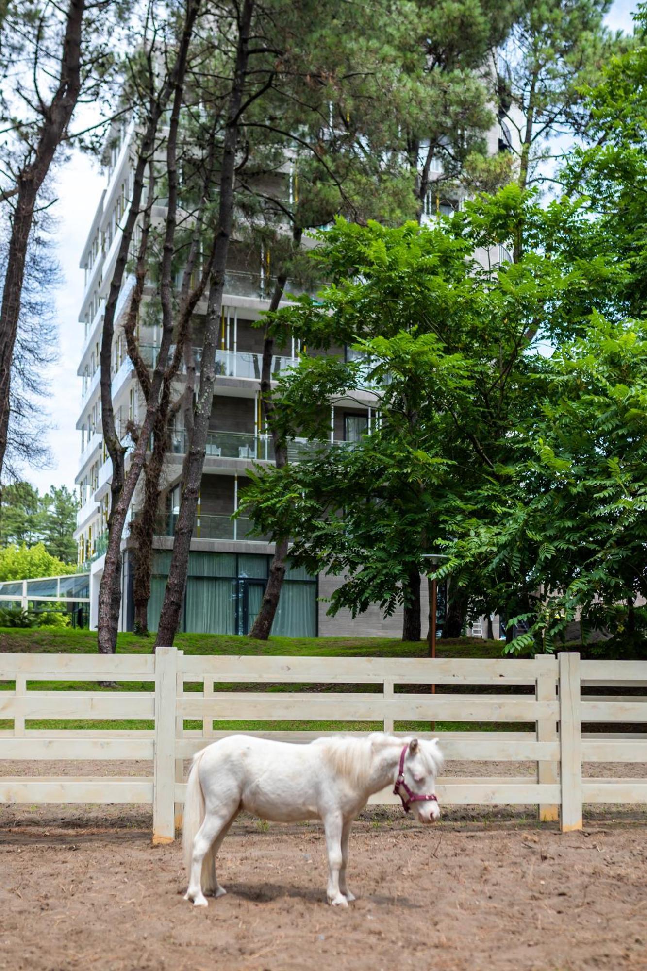 Magnika Resort Shekvetili Extérieur photo